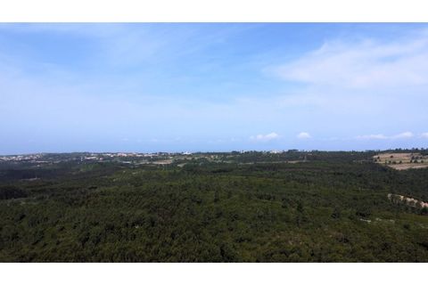 Helårsgrund i Nazare, Leiria, Nazare - € 180.000 | Ref: TER_861 - foto 9