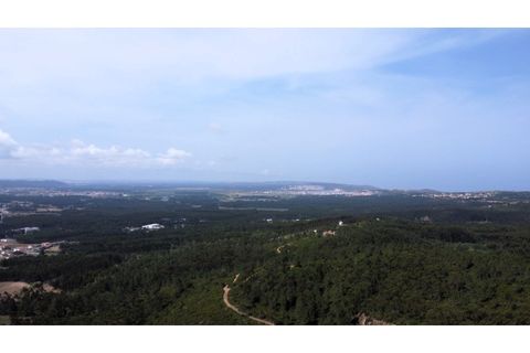 Helårsgrund i Nazare, Leiria, Nazare - € 180.000 | Ref: TER_861 - foto 11