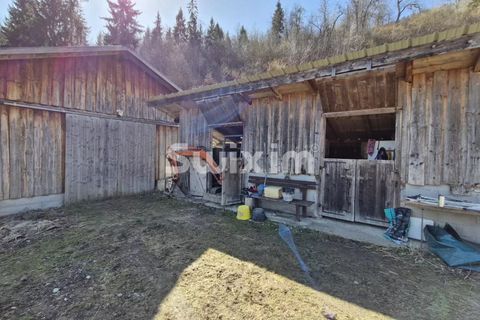 Terra a Serraval, Haute-Savoie, Serraval - € 95.000 | Ref: 70518PVR - foto 5