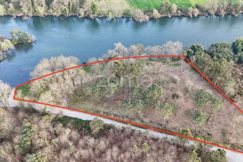 Helårsgrund i Barcelos, Braga, Barcelos - € 490.000 | Ref: ZMPT586148 - foto 2