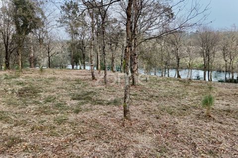Helårsgrund i Barcelos, Braga, Barcelos - € 490.000 | Ref: ZMPT586148 - foto 17