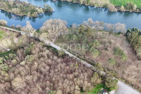 Helårsgrund i Barcelos, Braga, Barcelos - € 490.000 | Ref: ZMPT586148 - foto 20