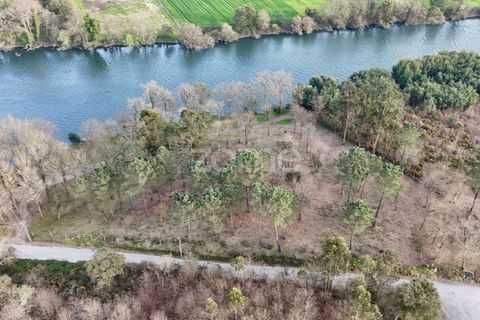 Helårsgrund i Barcelos, Braga, Barcelos - € 490.000 | Ref: ZMPT586148 - foto 21