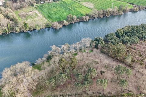Helårsgrund i Barcelos, Braga, Barcelos - € 490.000 | Ref: ZMPT586148 - foto 22