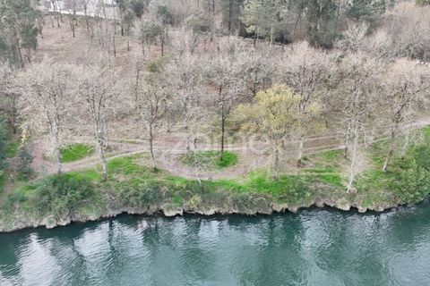 Helårsgrund i Barcelos, Braga, Barcelos - € 490.000 | Ref: ZMPT586148 - foto 23