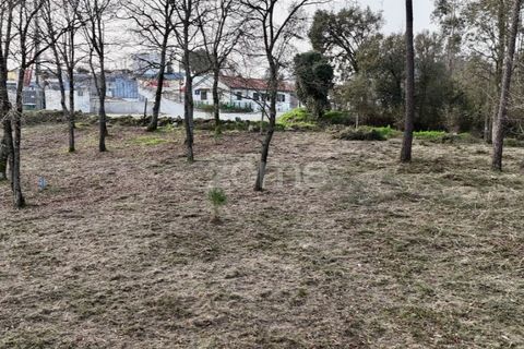 Helårsgrund i Barcelos, Braga, Barcelos - € 490.000 | Ref: ZMPT586148 - foto 26