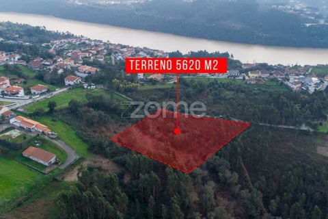 Helårsgrund i Penafiel, Porto, Penafiel - € 100.000 | Ref: ZMPT586176 - foto 7