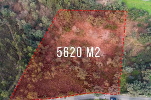 Helårsgrund i Penafiel, Porto, Penafiel - € 100.000 | Ref: ZMPT586176 - foto 11