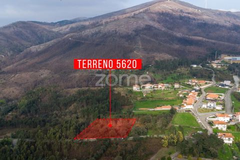 Helårsgrund i Penafiel, Porto, Penafiel - € 100.000 | Ref: ZMPT586176 - foto 12