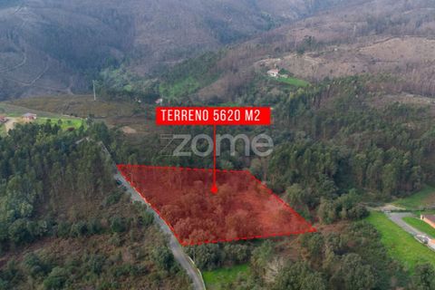 Helårsgrund i Penafiel, Porto, Penafiel - € 100.000 | Ref: ZMPT586176 - foto 13