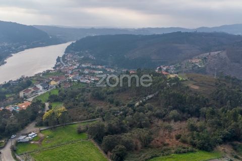 Helårsgrund i Penafiel, Porto, Penafiel - € 100.000 | Ref: ZMPT586176 - foto 14