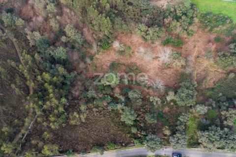 Helårsgrund i Penafiel, Porto, Penafiel - € 100.000 | Ref: ZMPT586176 - foto 3