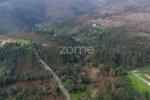 Helårsgrund i Penafiel, Porto, Penafiel - € 100.000 | Ref: ZMPT586176 - foto 6