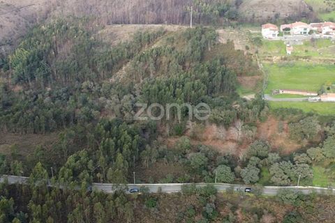 Helårsgrund i Penafiel, Porto, Penafiel - € 100.000 | Ref: ZMPT586176 - foto 8