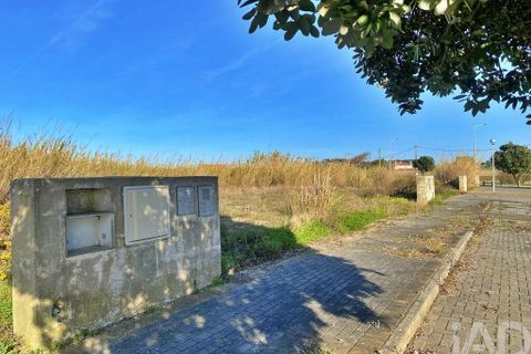 Helårsgrund i Torres Vedras, Lisbon, Torres Vedras - € 130.000 | Ref: 830153 - foto 8