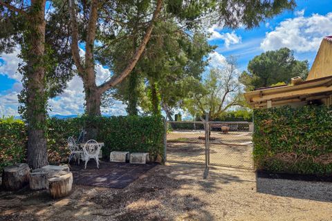 Landejendom i Yecla, Murcia, Yecla - € 339.000 | Ref: IZ-575-EXIZ - foto 45