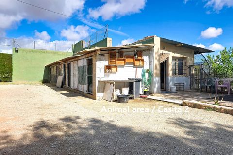Landejendom i Yecla, Murcia, Yecla - € 339.000 | Ref: IZ-575-EXIZ - foto 50