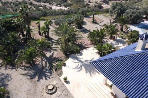 Villa i Algoda, Alicante, Algoda - € 740.000 | Ref: VMAT/10946 - foto 19