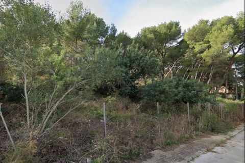 Villa a Madrid, Madrid, Madrid - € 1.400.000 | Ref: 7070a98b-23e6-48f9-b - foto 13