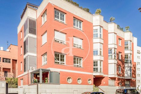 Apartament a Madrid, Madrid, Madrid - € 2.700/mes | Ref: AM2603022 - foto 20