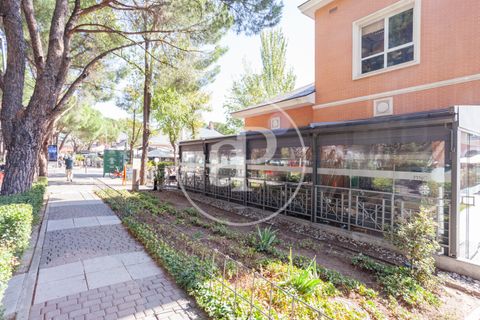 Villa a La Moraleja, Madrid, La Moraleja - € 3.900.000 | Ref: VMN2603015 - foto 6