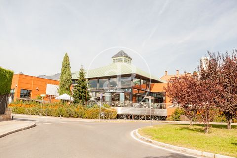 Villa a La Moraleja, Madrid, La Moraleja - € 3.900.000 | Ref: VMN2603015 - foto 12