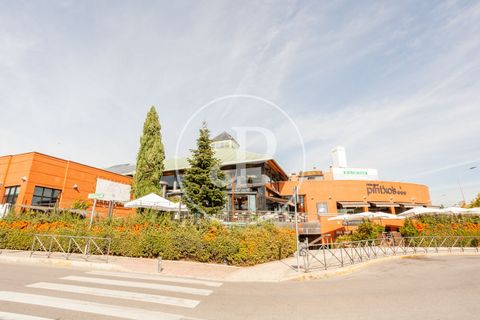 Villa a La Moraleja, Madrid, La Moraleja - € 3.900.000 | Ref: VMN2603015 - foto 13