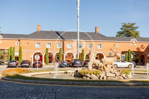 Villa a La Moraleja, Madrid, La Moraleja - € 3.900.000 | Ref: VMN2603015 - foto 26