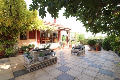 Villa i Algorfa, Alicante, Algorfa - € 549.500 | Ref: BD-40571 - foto 47