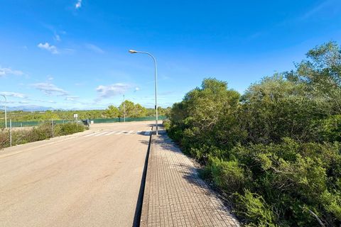 Helårsgrund i Son Ferriol, Mallorca, Son Ferriol - € 425.000 | Ref: 110056299 - foto 17