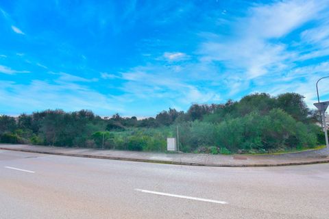Helårsgrund i Son Ferriol, Mallorca, Son Ferriol - € 425.000 | Ref: 110056299 - foto 18
