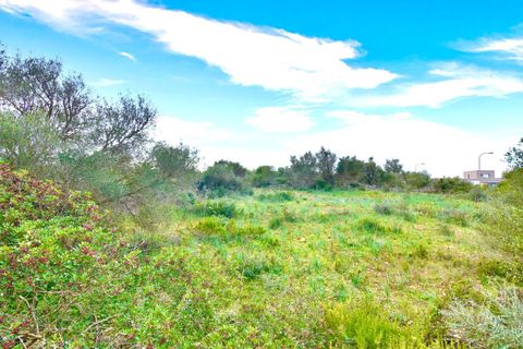 Helårsgrund i Son Ferriol, Mallorca, Son Ferriol - € 425.000 | Ref: 110056299 - foto 19