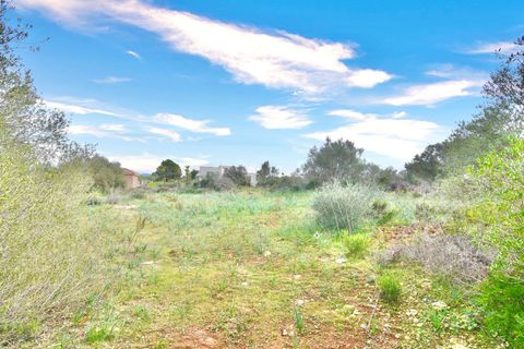 Helårsgrund i Son Ferriol, Mallorca, Son Ferriol - € 425.000 | Ref: 110056299 - foto 20