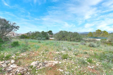 Helårsgrund i Son Ferriol, Mallorca, Son Ferriol - € 425.000 | Ref: 110056299 - foto 21