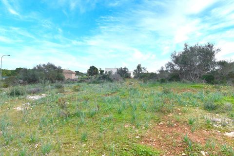 Helårsgrund i Son Ferriol, Mallorca, Son Ferriol - € 425.000 | Ref: 110056299 - foto 23