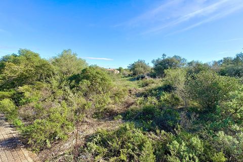 Helårsgrund i Son Ferriol, Mallorca, Son Ferriol - € 425.000 | Ref: 110056299 - foto 25