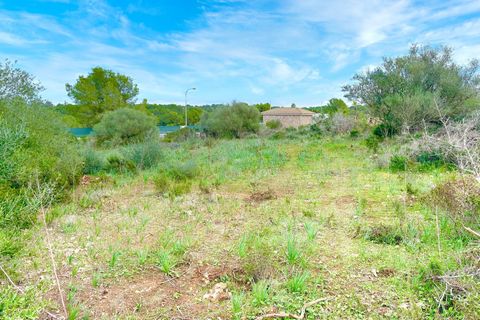 Helårsgrund i Son Ferriol, Mallorca, Son Ferriol - € 425.000 | Ref: 110056299 - foto 26