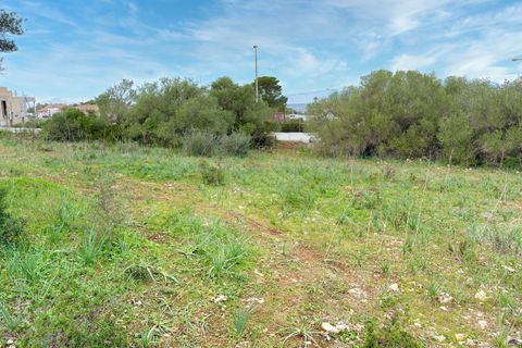 Helårsgrund i Son Ferriol, Mallorca, Son Ferriol - € 425.000 | Ref: 110056299 - foto 27