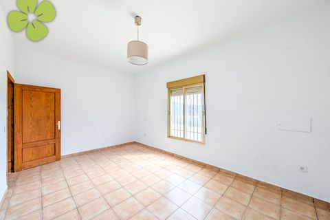 Villa i Albox, Almeria, Albox - € 249.000 | Ref: CRE-2677 - foto 20