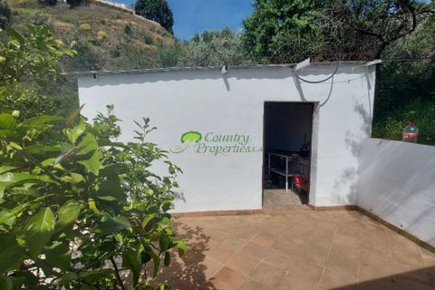 Casa de campo en Algarrobo, Malaga, Algarrobo - € 1.500/mes | Ref: TR266 - photo 25