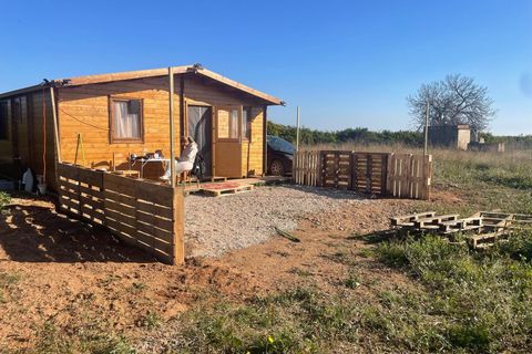 Helårsgrund i Vinaros, Castellon, Vinaros - € 45.000 | Ref: EXP13585/8930 - foto 11