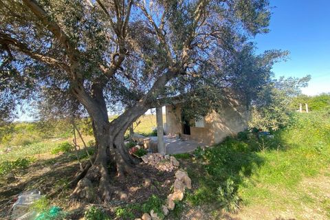 Helårsgrund i Vinaros, Castellon, Vinaros - € 45.000 | Ref: EXP13585/8930 - foto 12