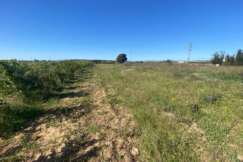 Helårsgrund i Vinaros, Castellon, Vinaros - € 45.000 | Ref: EXP13585/8930 - foto 13