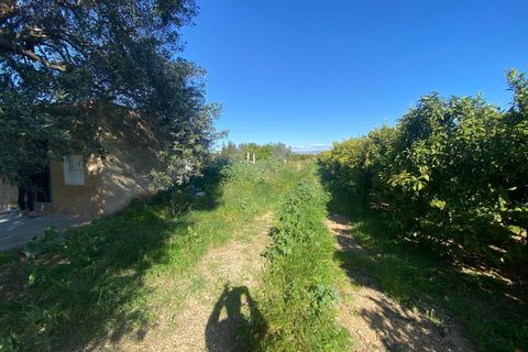 Helårsgrund i Vinaros, Castellon, Vinaros - € 45.000 | Ref: EXP13585/8930 - foto 16