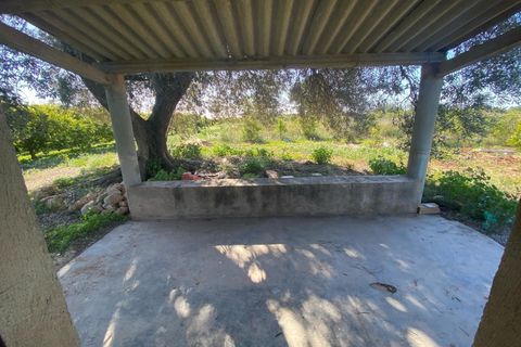Helårsgrund i Vinaros, Castellon, Vinaros - € 45.000 | Ref: EXP13585/8930 - foto 20