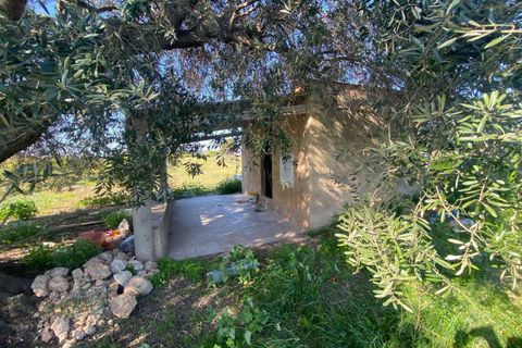 Helårsgrund i Vinaros, Castellon, Vinaros - € 45.000 | Ref: EXP13585/8930 - foto 24