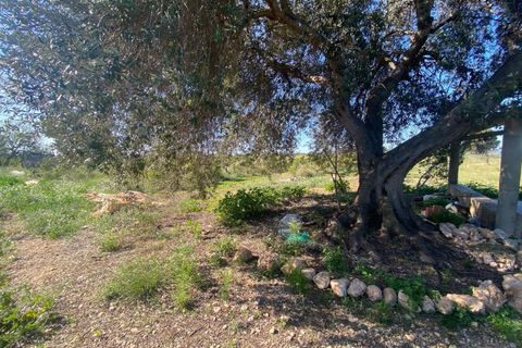 Helårsgrund i Vinaros, Castellon, Vinaros - € 45.000 | Ref: EXP13585/8930 - foto 25