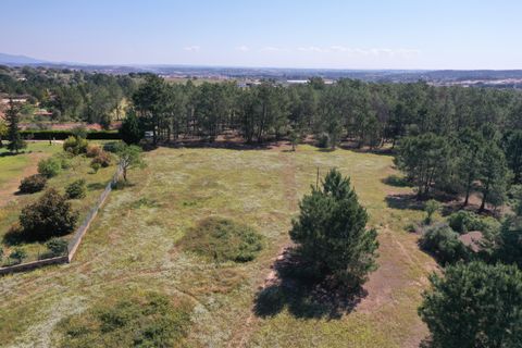 Helårsgrund i Lagos, Faro, Lagos - € 650.000 | Ref: BPA4259 - foto 7