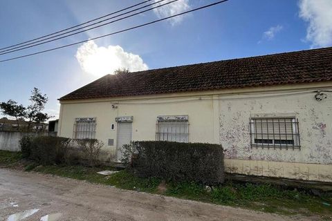 Farm i Palmela, Setubal, Palmela - € 395.000 | Ref: 841519 - foto 2