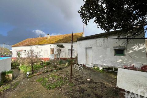 Farm i Palmela, Setubal, Palmela - € 395.000 | Ref: 841519 - foto 1